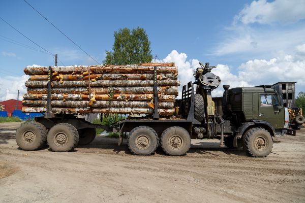 «Непострадавший» малый бизнес лесной отрасли Коми просит региональную власть оказать ему поддержку