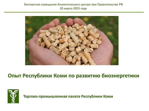 Опыт Коми по развитию биоэнергетики представлен на экспертном совещании Аналитического центра при Правительстве РФ