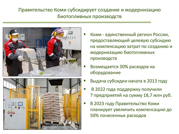 Опыт Коми по развитию биоэнергетики представлен на экспертном совещании Аналитического центра при Правительстве РФ