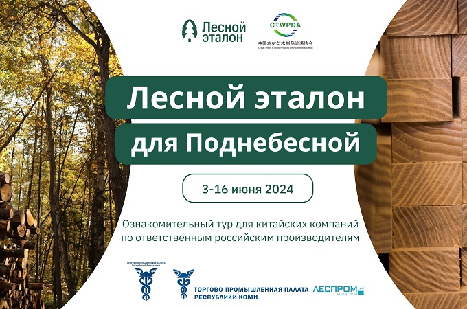 «Лесной эталон для Поднебесной»: делегаты из Китая приедут в Россию в поисках сертифицированной продукции