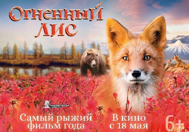 Сыктывкарцев приглашают на приключения «Огненного лиса»