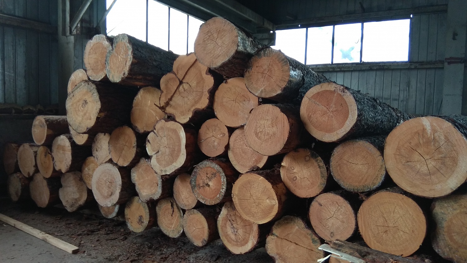 Компания «ПроИнТех», являющаяся членом ТПП Коми, организовала производство глубокой переработки древесины