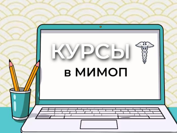 МИМОП продолжает реализацию курсов, направленных на работу российского бизнеса в дружественных странах