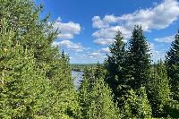 ФГИС ЛК: личный кабинет лесопользователя, административная ответственность