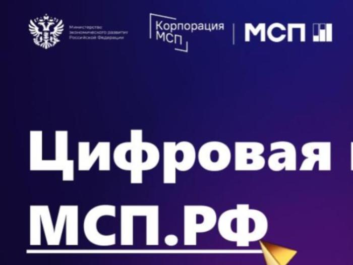 На платформе МСП.РФ начался отбор заявок На платформе МСП.РФ начался отбор заявок