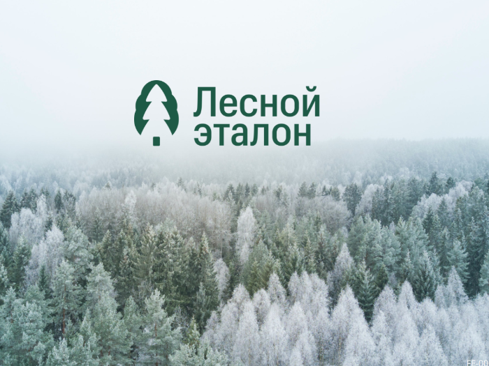 Проект Ассоциации «НРГ» номинирован на Национальную экологическую премию от Комсомольской правды!