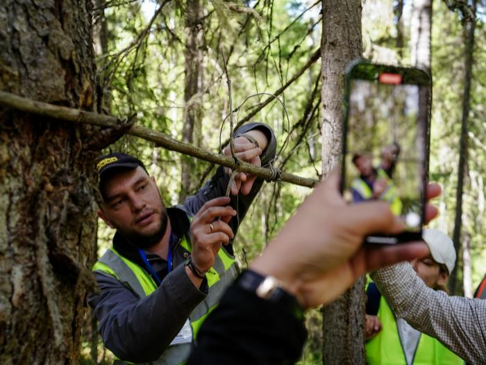 Вебинар по изменениям в области использовании лесов и организации правильного учета древесины во ФГИС ЛК