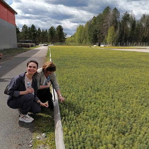 Участникам семинара "Национальная система лесной сертификации" показали «лесные ясли» Сыктывкарского ЛПК