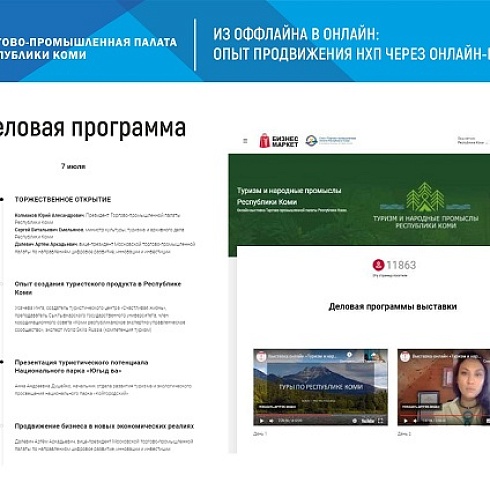 ТПП Коми в онлайн-формате представила кировским предпринимателям проект по организации и проведению онлайн-выставок
