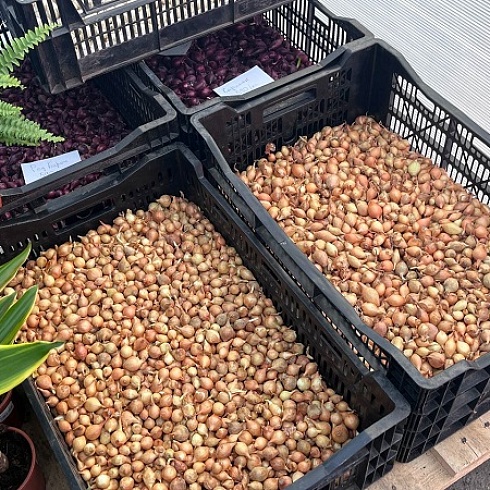 Выбирай своё. Цветущая семейная компания Татьяны Морозовой - участник проекта ТПП РФ «Семейные компании России»