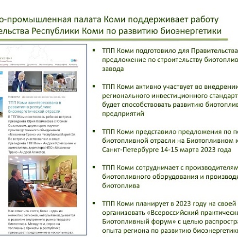 Опыт Коми по развитию биоэнергетики представлен на экспертном совещании Аналитического центра при Правительстве РФ