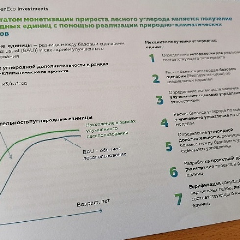 Арендаторам лесов Коми разъяснили, как зарабатывать на предотвращении и поглощении выбросов парниковых газов 