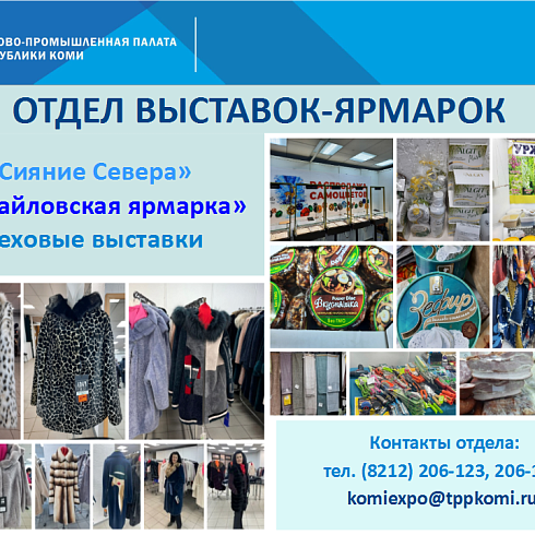 Отчет о деятельности ТПП Коми за ноябрь 2022 года.