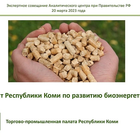 Опыт Коми по развитию биоэнергетики представлен на экспертном совещании Аналитического центра при Правительстве РФ