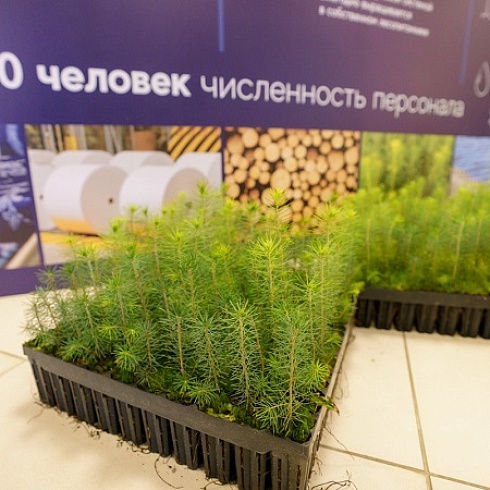 Заседание Лесного совета при Главе Коми состоялось в Финно-угорском этнопарке в селе Ыб