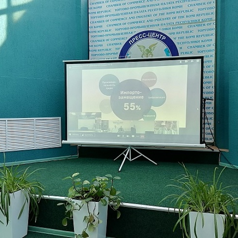 ТПП Коми онлайн приняла участие во встрече с руководителем Фонда развития промышленности Романом Петруцей