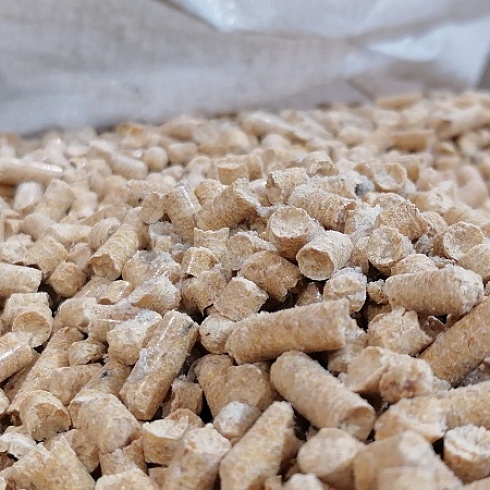 Участники бизнес-форума «Биотопливо России» посетили пеллетную котельную в селе Ыб Сыктывдинского района и побывали на биотопливных производствах в Сыктывкаре и Сысольском районе