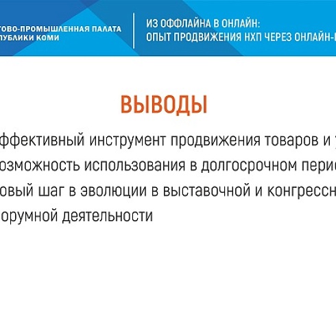 ТПП Коми в онлайн-формате представила кировским предпринимателям проект по организации и проведению онлайн-выставок