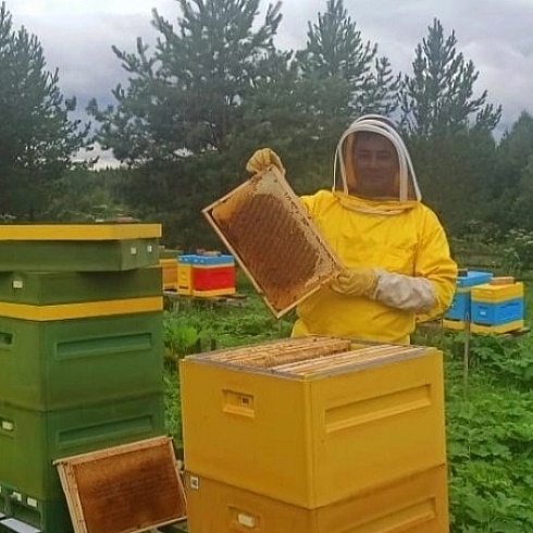 В селе Усть-Кулом настоятель местной церкви занимается пчеловодством