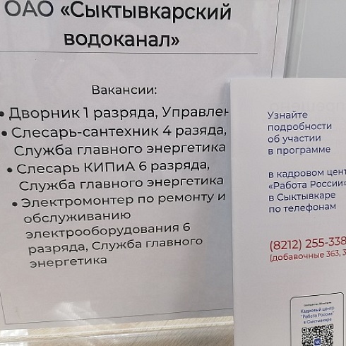 На площадке ТПП Коми проходит ярмарка вакансий "Работа России. Время возможностей"