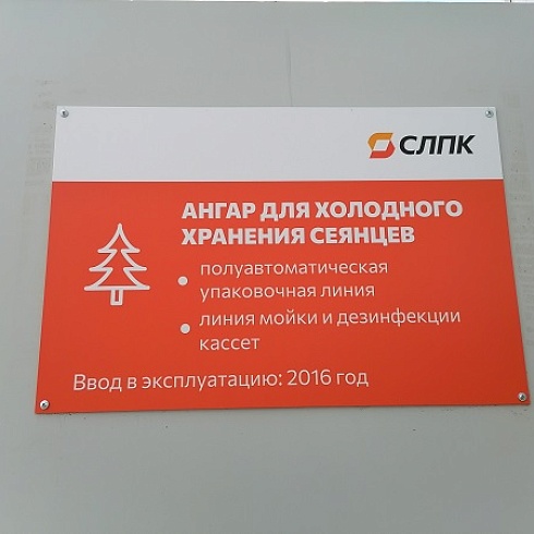 Участникам семинара "Национальная система лесной сертификации" показали «лесные ясли» Сыктывкарского ЛПК