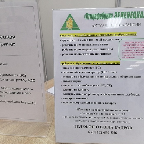 На площадке ТПП Коми проходит ярмарка вакансий "Работа России. Время возможностей"