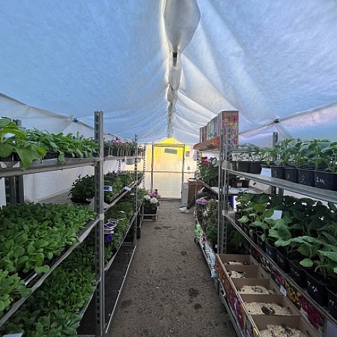 Выбирай своё. Цветущая семейная компания Татьяны Морозовой - участник проекта ТПП РФ «Семейные компании России»