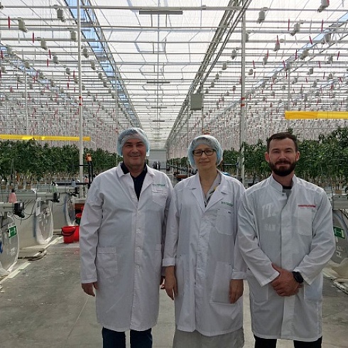 Юрий Колмаков о продукции Тепличного комплекса Сосногорский: «Наши томаты и огурцы значительно вкуснее турецких!»