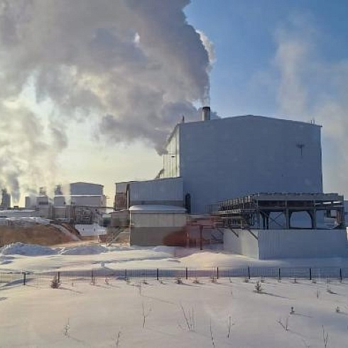 «Лузалес» и ТПП Коми обсудили расширение взаимодействия