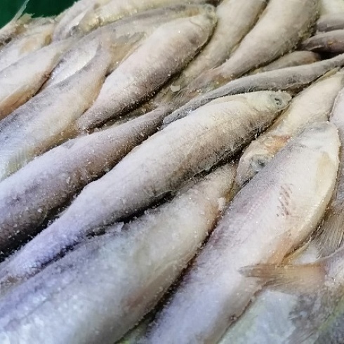 В ТПП Коми на выставке представлены товаропроизводители республики