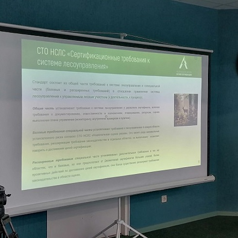 В ТПП Коми проходит межрегиональный семинар "«Национальная система лесной сертификации для устойчивого лесопользования России»"