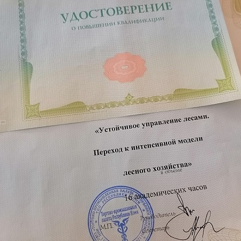 ТПП Коми и Сыктывкарский ЛПК вручили удостоверения слушателям курса по устойчивому управлению лесами  