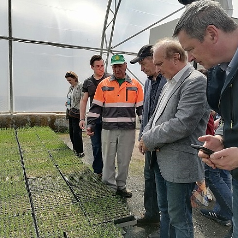 В ТПП Коми прошел первый практический семинар «Национальная система лесной сертификации»