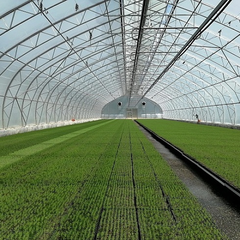 Участникам семинара "Национальная система лесной сертификации" показали «лесные ясли» Сыктывкарского ЛПК