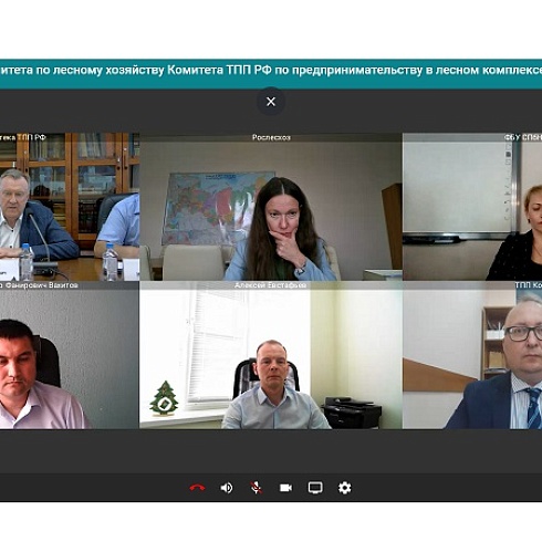 Ответственное лесоуправление обсудили на заседании Комитета ТПП РФ по предпринимательству в лесном комплексе