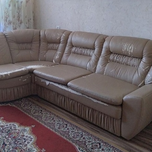 Членский билет ТПП Коми вручен индивидуальному предпринимателю Инне Макатровой