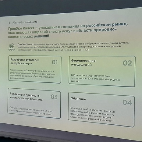 В ТПП Коми арендаторам лесных участков представили лесоклиматические проекты