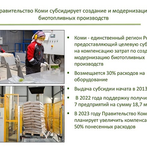 Опыт Коми по развитию биоэнергетики представлен на экспертном совещании Аналитического центра при Правительстве РФ