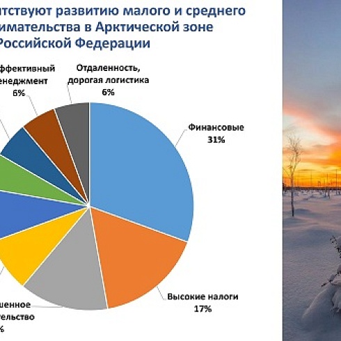 Сыктывкарский госуниверситет им. Питирима Сорокина представил исследование о развитии малого бизнеса в условиях Арктики
