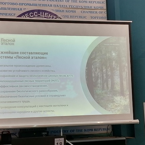 В ТПП Коми бизнесу рассказали о системе добровольной лесной сертификации «Лесной эталон»