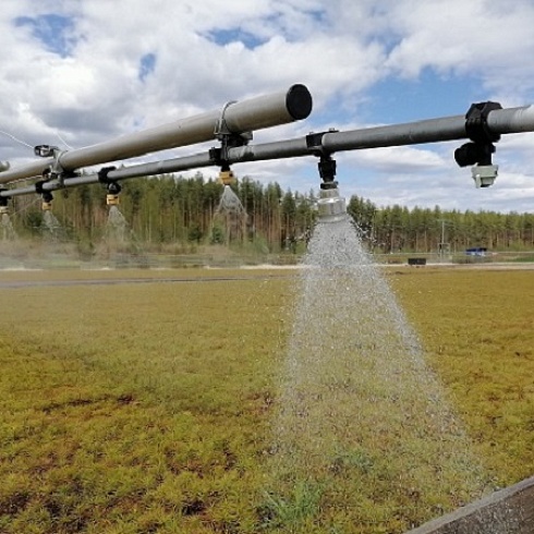 Участникам семинара "Национальная система лесной сертификации" показали «лесные ясли» Сыктывкарского ЛПК