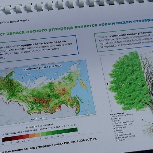 В ТПП Коми арендаторам лесных участков представили лесоклиматические проекты