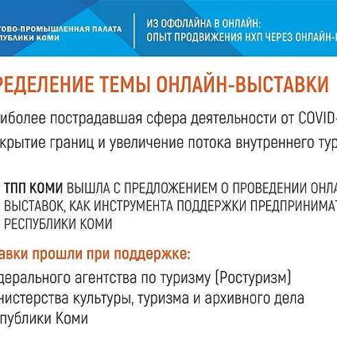 ТПП Коми в онлайн-формате представила кировским предпринимателям проект по организации и проведению онлайн-выставок