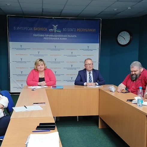 Состоялось заседание Комитета ТПП Коми по экологии и обращению твердых производственных и бытовых отходов