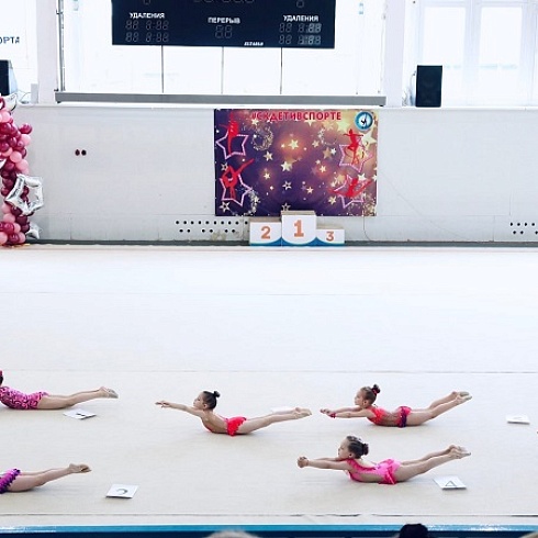 Членский билет ТПП Коми в День физкультурника вручен спортивному клубу «Дети в спорте» 