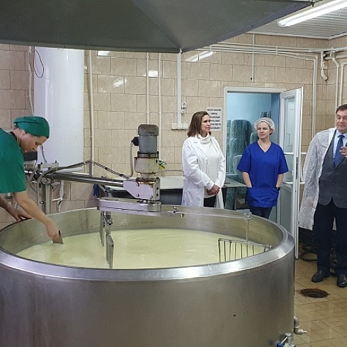 Замечательная продукция  Племхоза "Ухта-97"