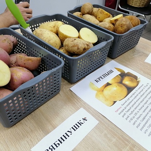 В ТПП Коми прошла торгово-закупочная сессия по реализации картофеля и овощей урожая 2022 года