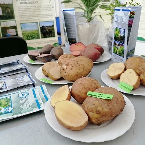 Выставка «Достояние Севера-2022» представила 191 участника и 350 артистов на площади в  10 тысяч квадратных метров