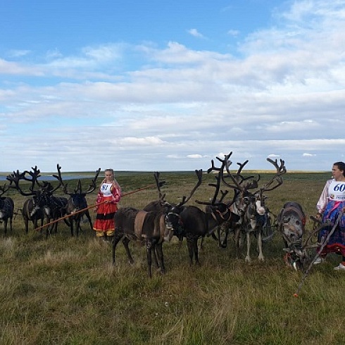 Президент ТПП Коми и предсдеатель Воркутинского кооператива "Оленевод" провели деловую встречу в тундре