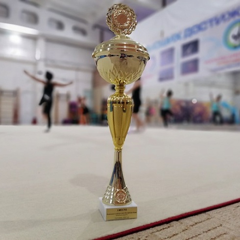 Членский билет ТПП Коми в День физкультурника вручен спортивному клубу «Дети в спорте» 